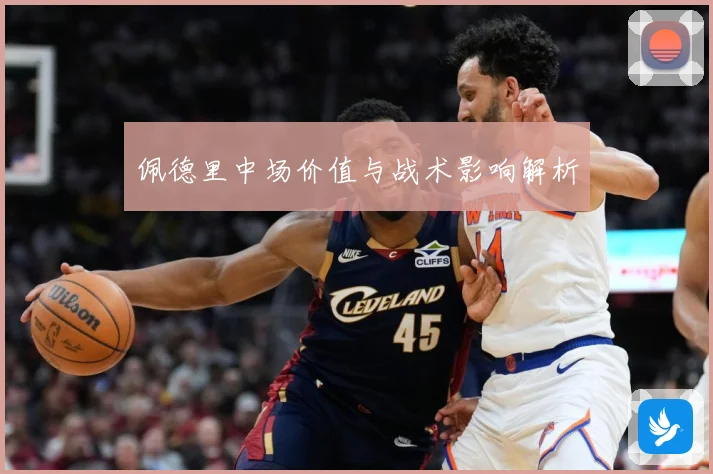 佩德里中场价值与战术影响解析